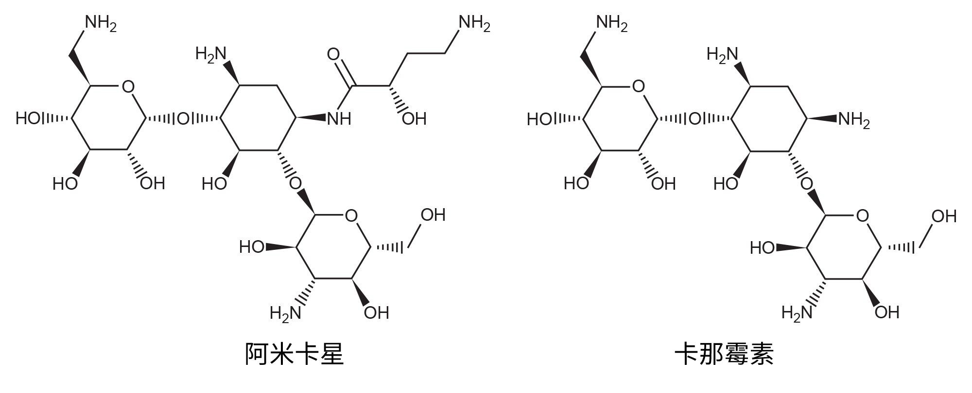 阿米卡星和卡那霉素的结构。