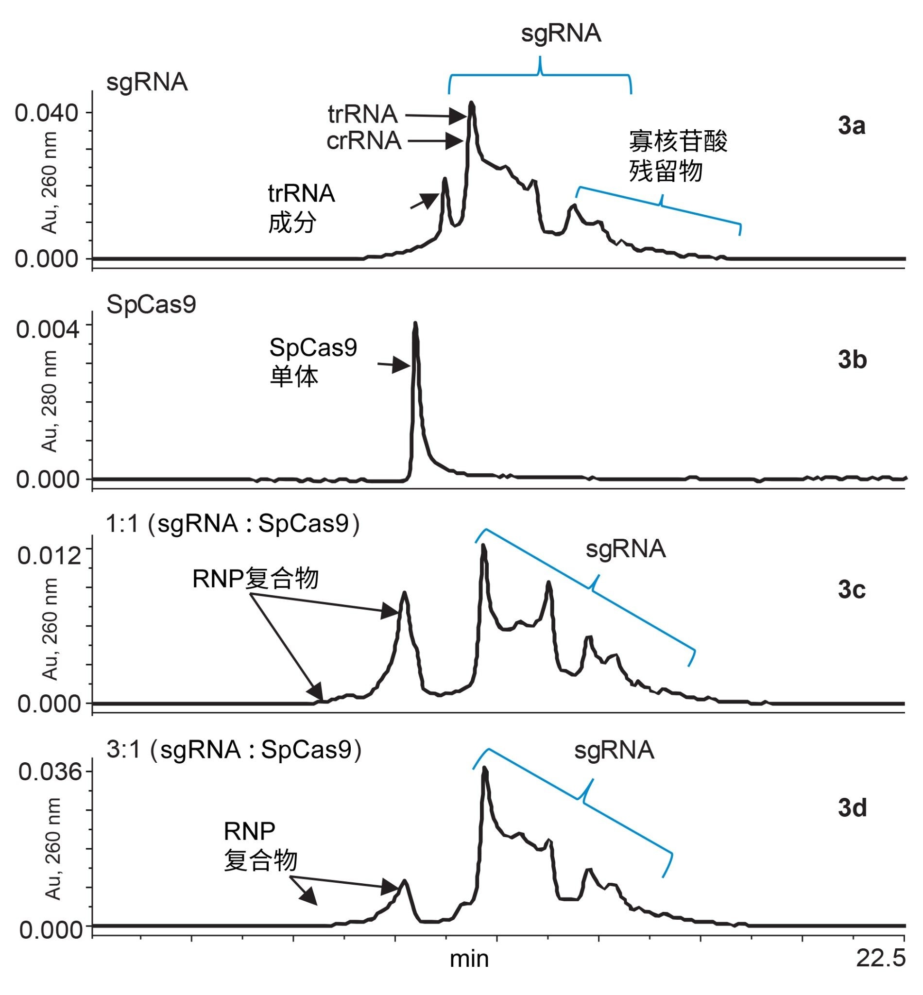 RNP复合物形成、单个向导RNA和Cas9蛋白。