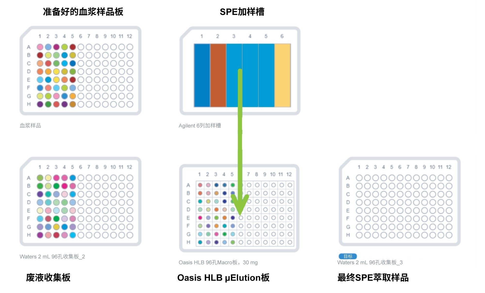 OneLab自动化生物分析SPE方法的图示