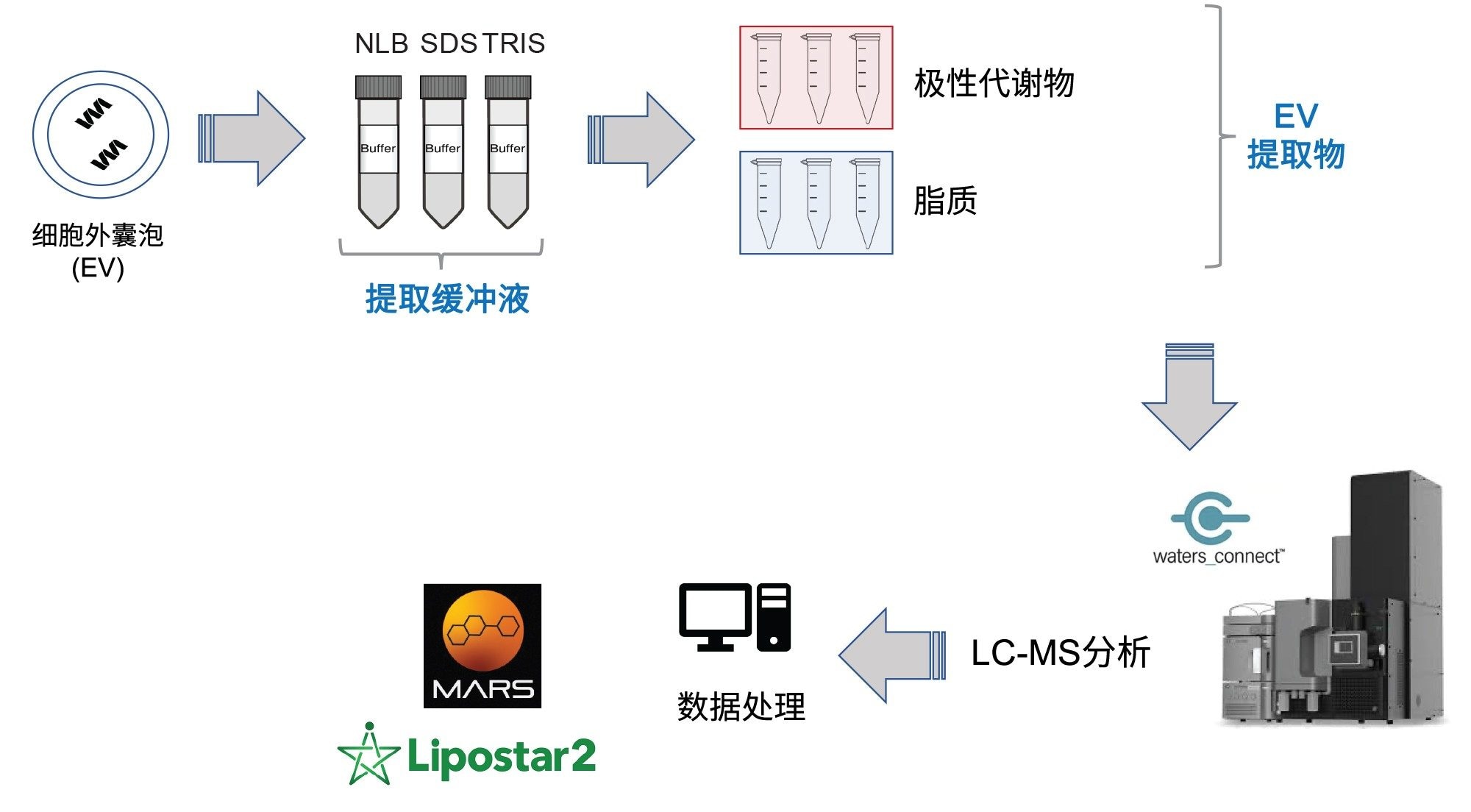 实验工作流程，概述了EV提取物的LC-MS分析方法以及后续的数据处理