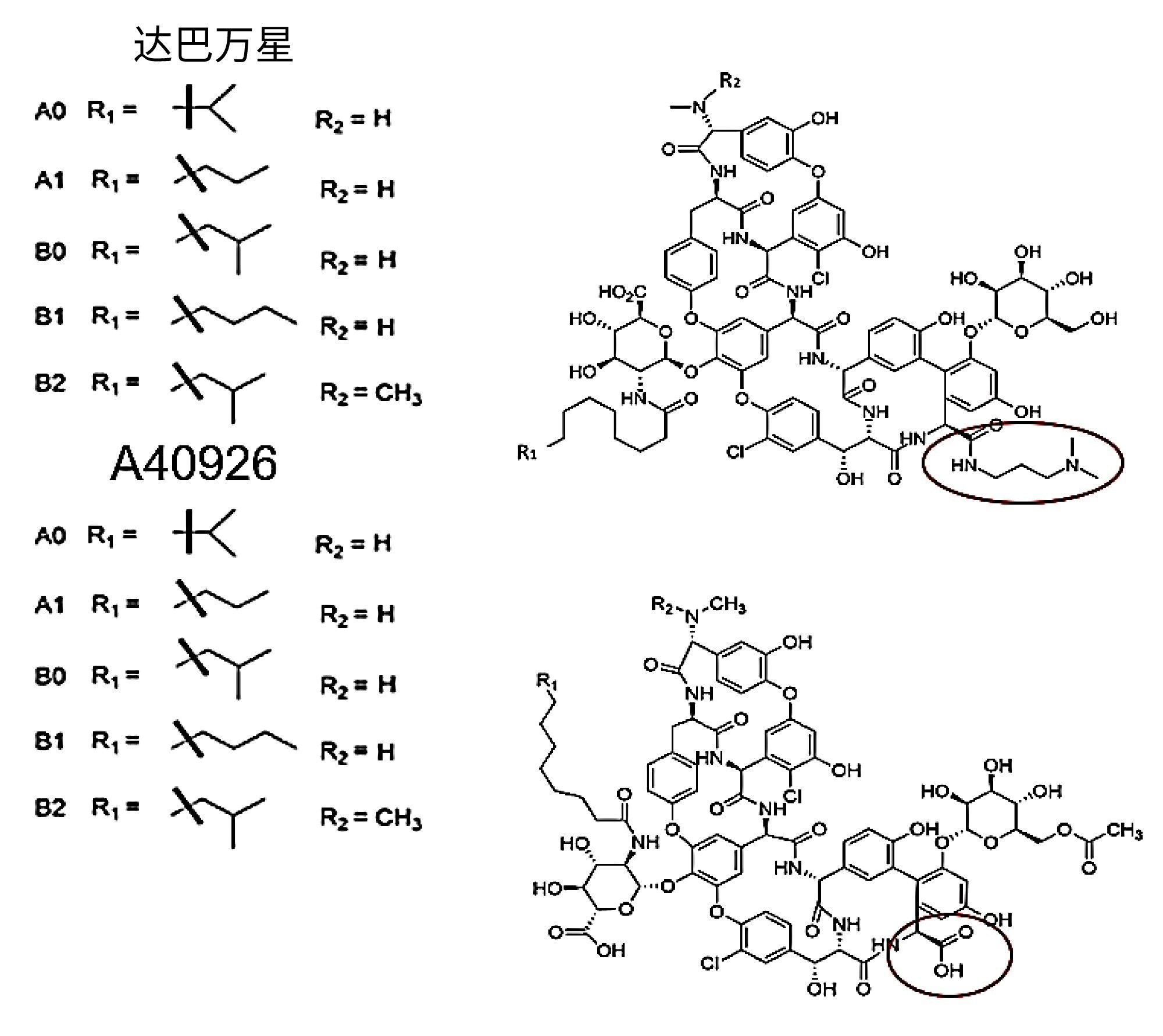达巴万星和A40926的结构，结构差异已圈出