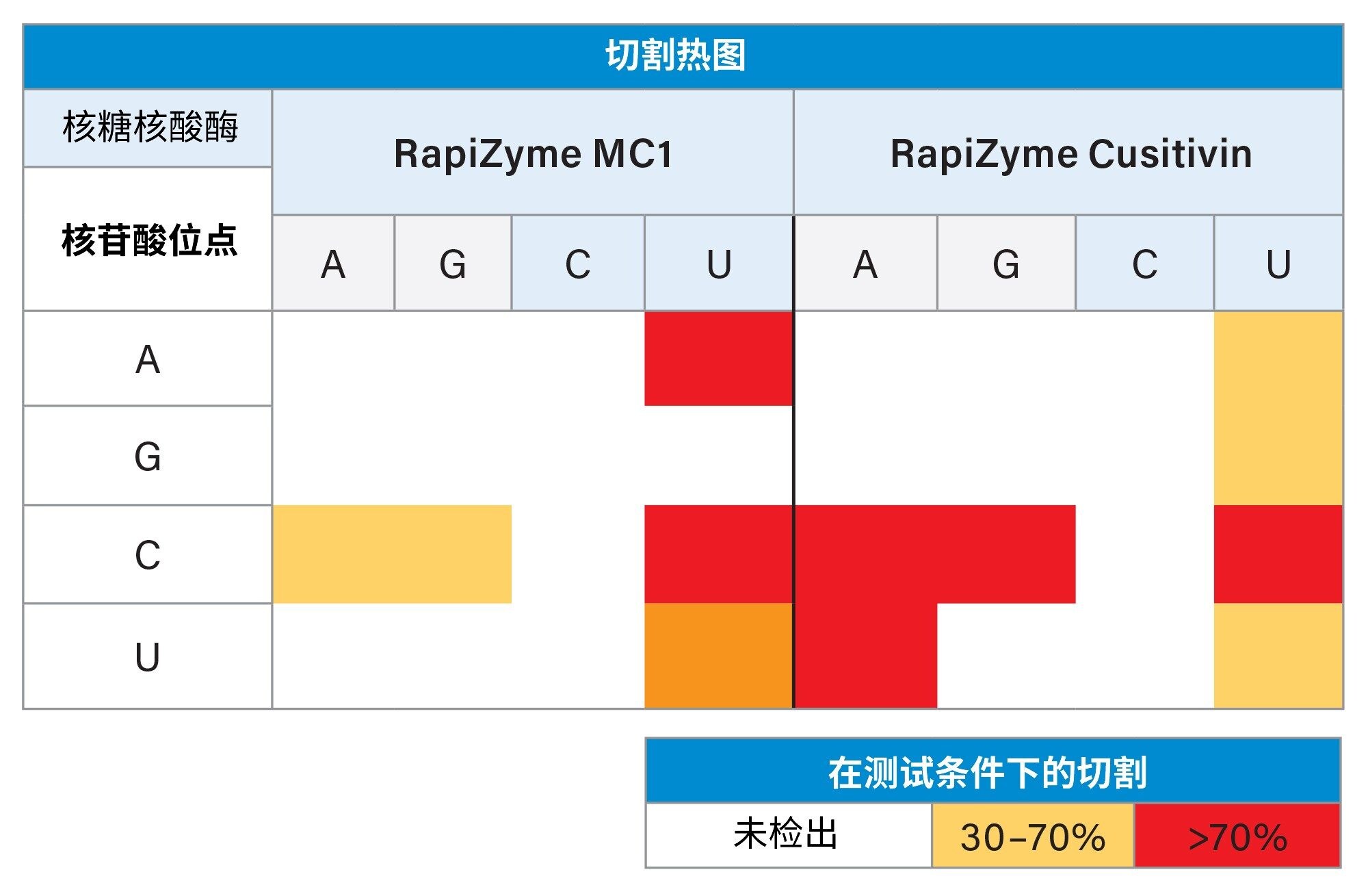 RapiZyme MC1和RapiZyme Cusativin对每种二核苷酸组合的相对剪切反应速率近似值