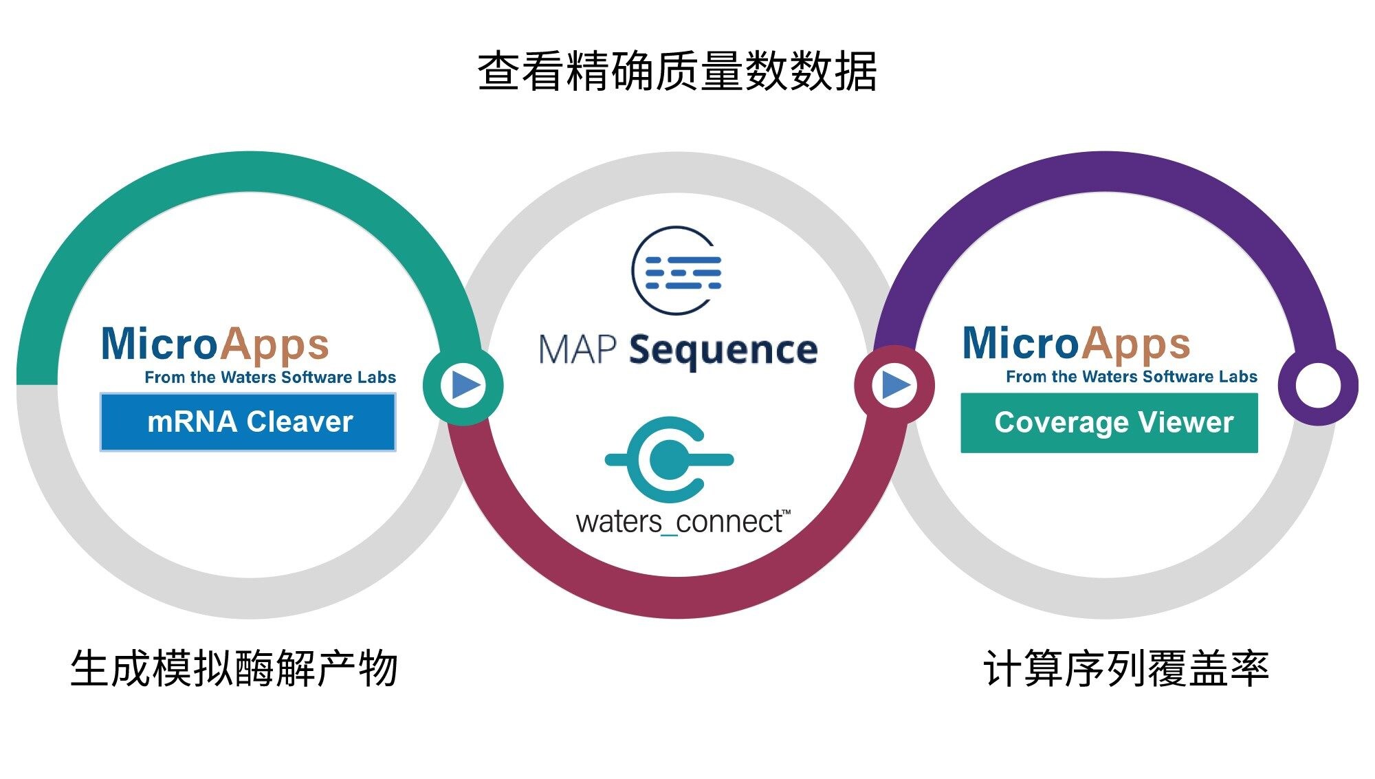 使用mRNA Cleaver MicroApp、MAP Sequence应用程序和Coverage Viewer MicroApp对sgRNA/mRNA酶解物进行LC-MSE处理的工作流程简单示意