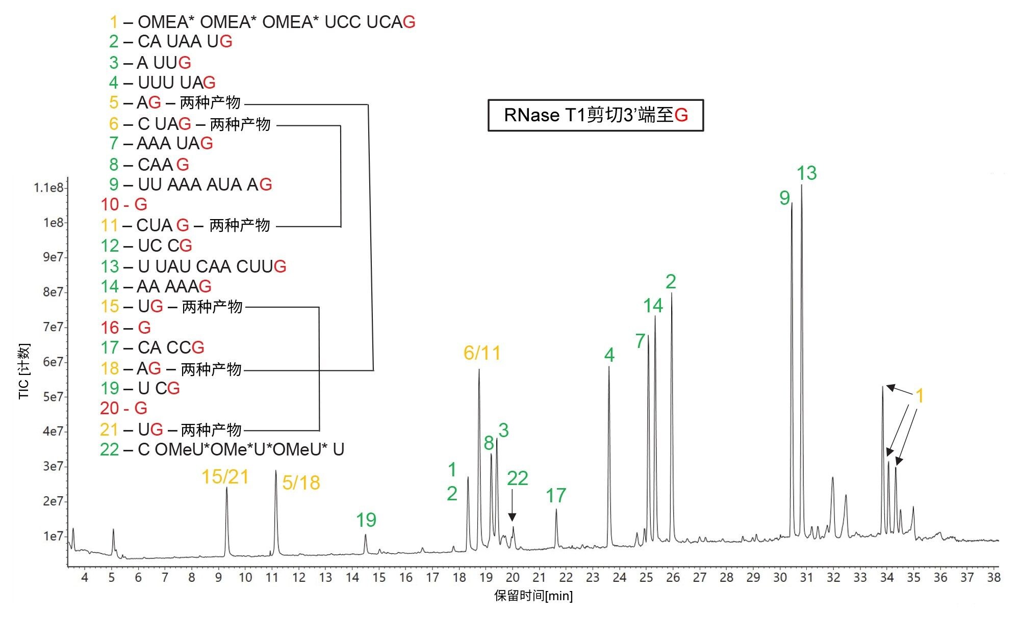 RNase T1酶解HPRT1 sgRNA的TIC色谱图