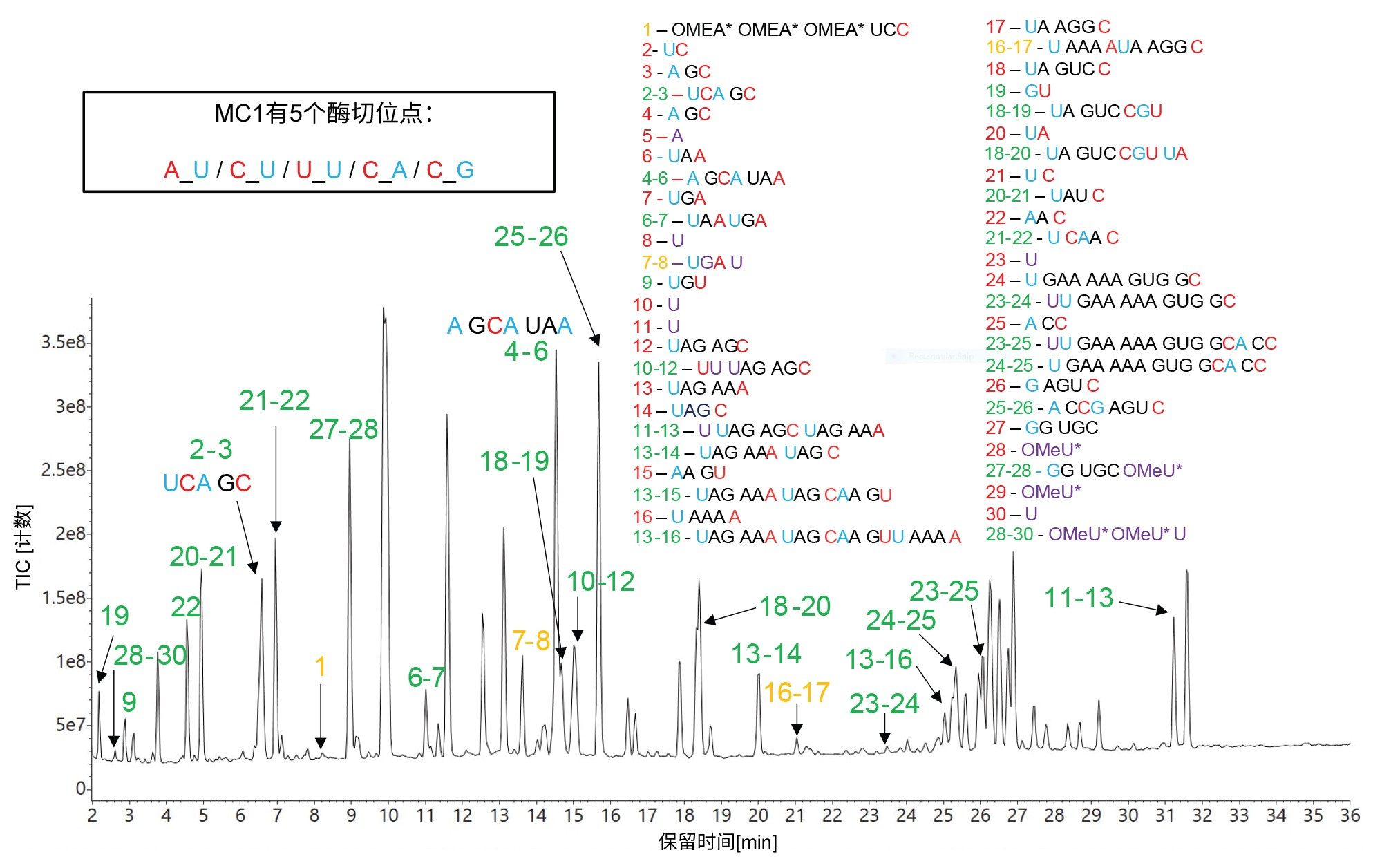 RapiZyme MC1酶解HPRT1 sgRNA的TIC色谱图