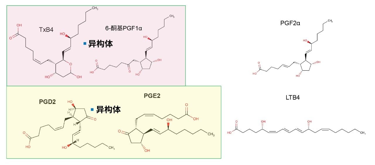 脂质的典型结构