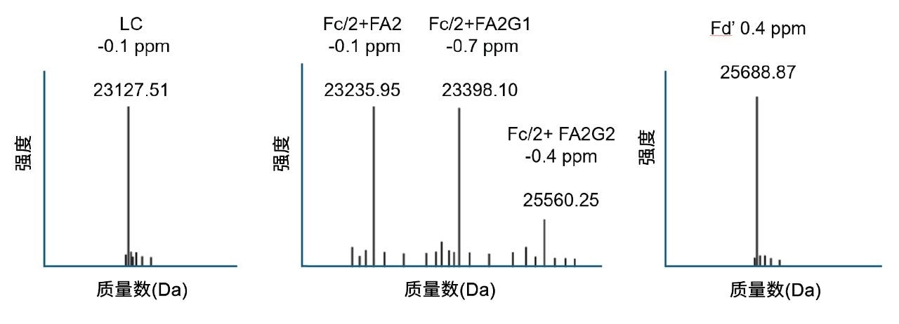 每个mAb IdeS的BayesSpray去卷积质谱图