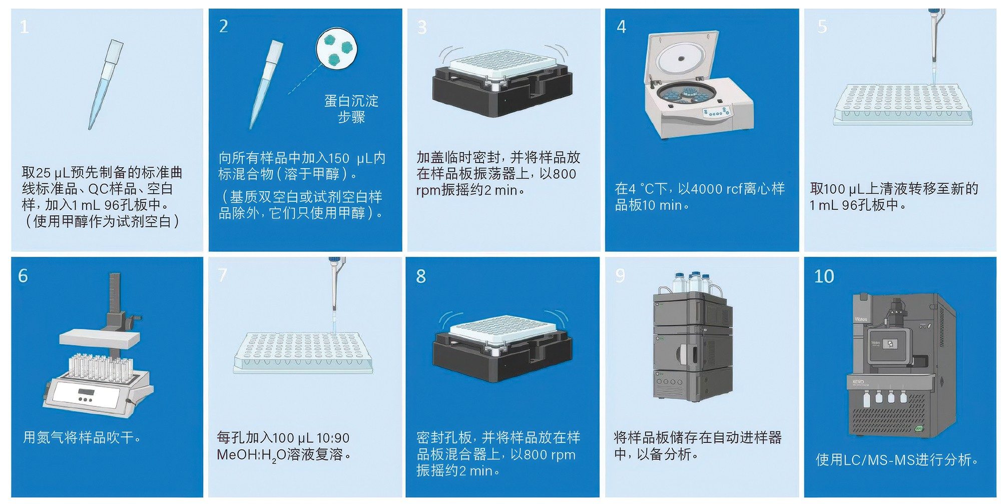 图2.本研究所用样品方案概述