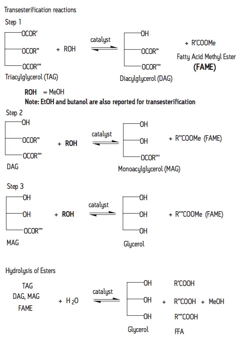 Acquity Uplc Els Uv One Methodology For Ffa Fame And Tag Analysis Of Biodiesel Waters