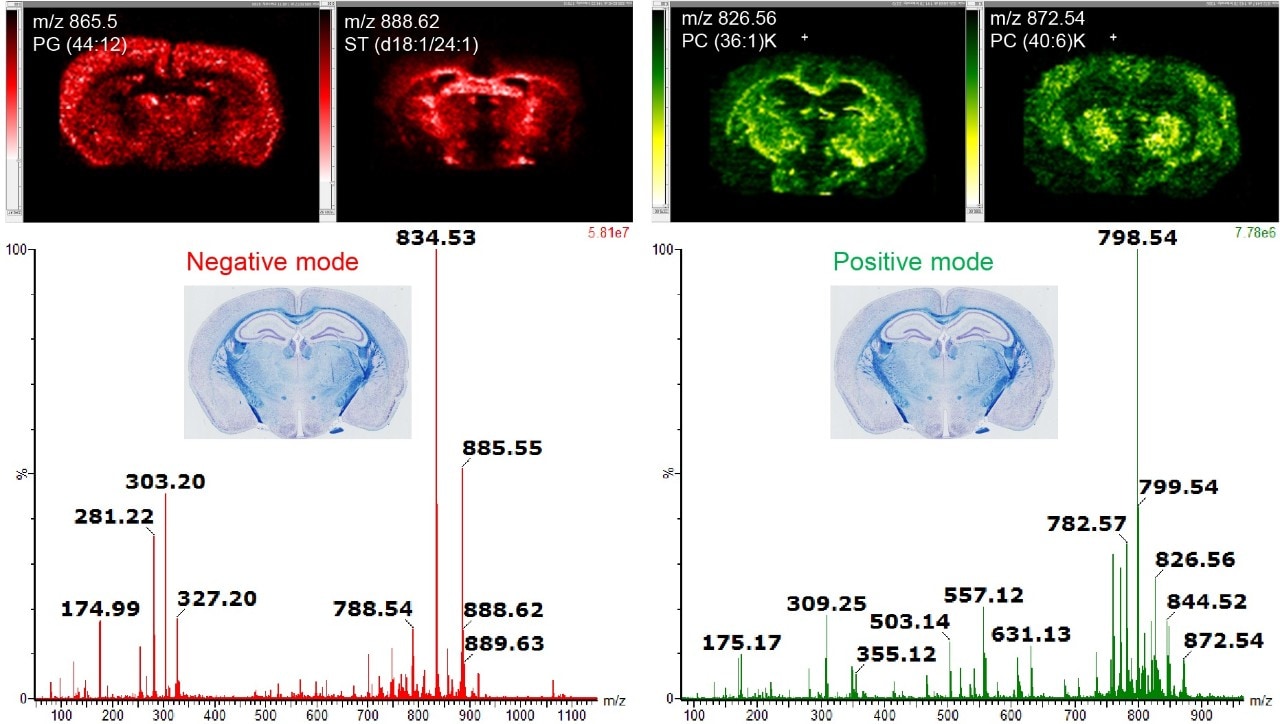 Utility of Desorption Electrospray Ionization (DESI) for Mass Spectrometry Imaging Waters