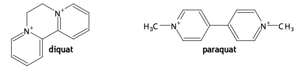 Fast And Sensitive Uplc Ms Ms Determination Of Diquat And Paraquat In Drinking Water Waters