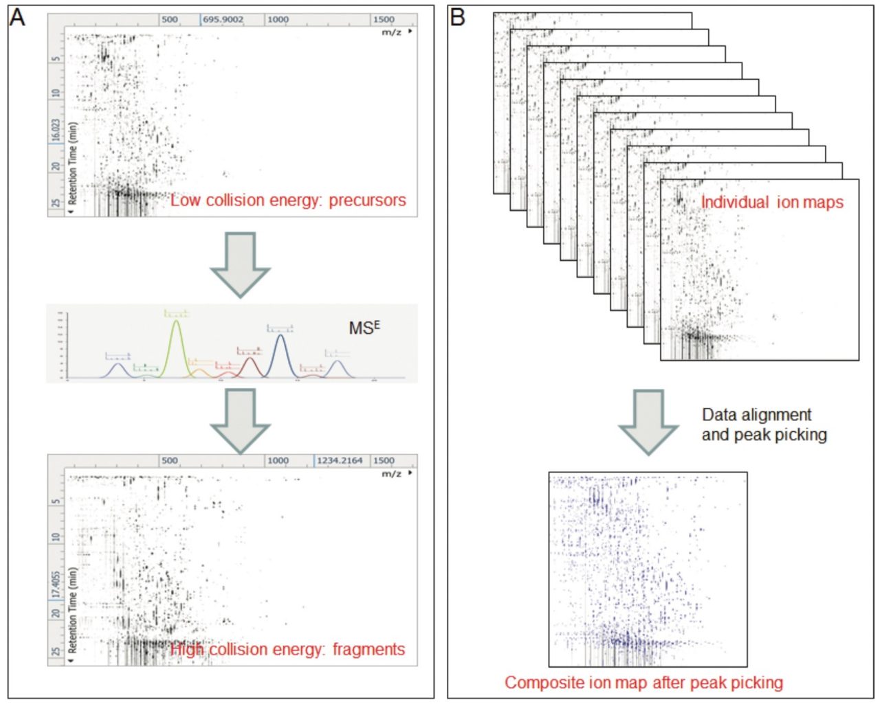 A Facile Database Search Engine For Metabolite Identification And Biomarker Discovery In Metabolomics Waters