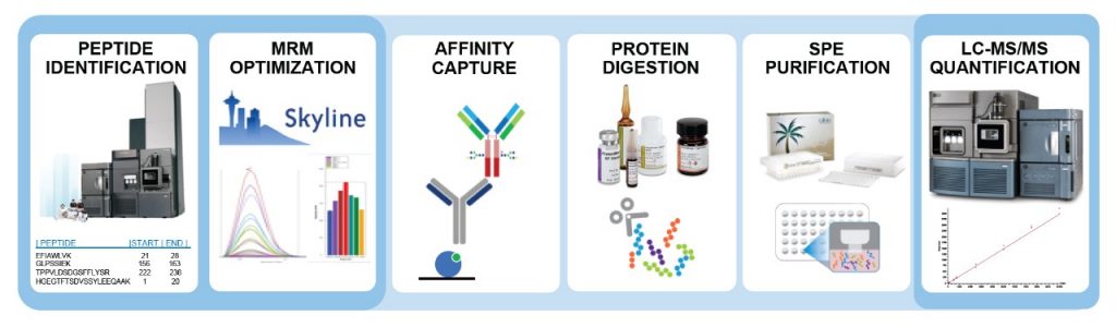 Developing A Quantitative Surrogate Peptide Assay Peptide Mapping Through Mrm Optimization For Measuring Dulaglutide In A Rat Pk Study Waters Developing A Quantitative Surrogate Peptide Assay Peptide Mapping Through Mrm Optimization For Measuring Dulaglutide In A Rat Pk Study Waters