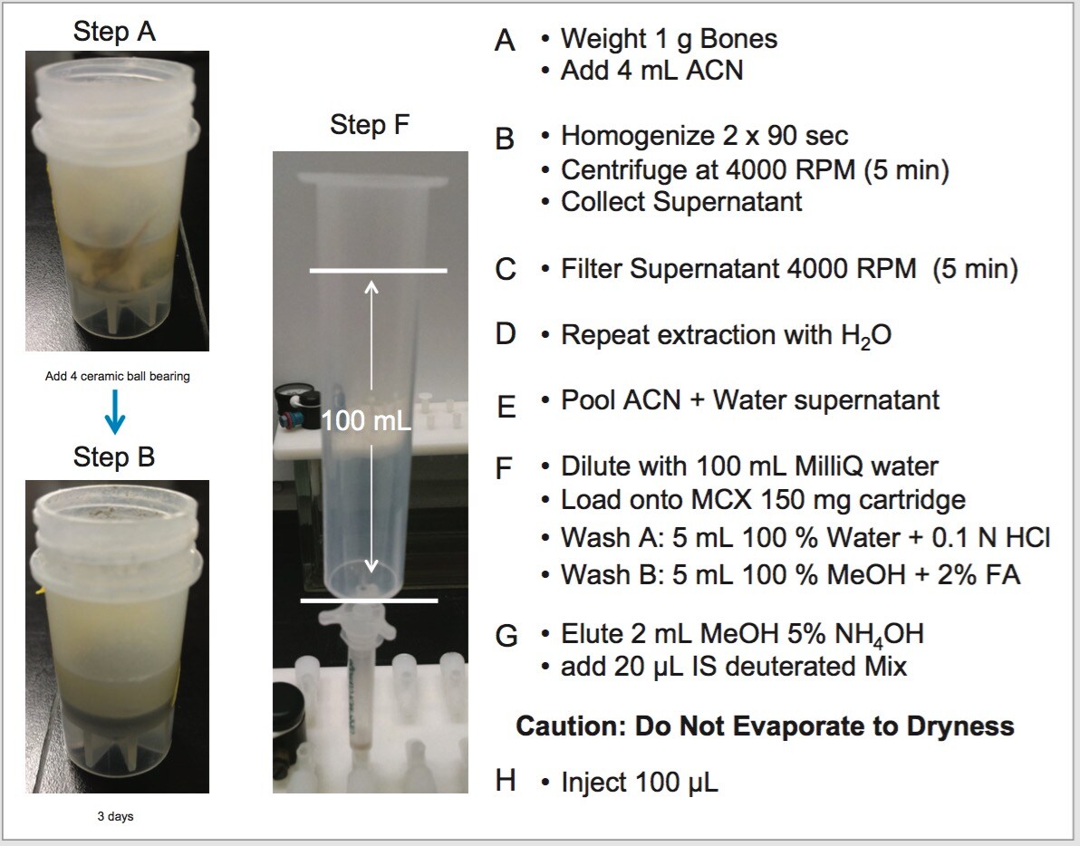 Detection of Cocaine and Its Major Metabolites in Rodent Bone Following
