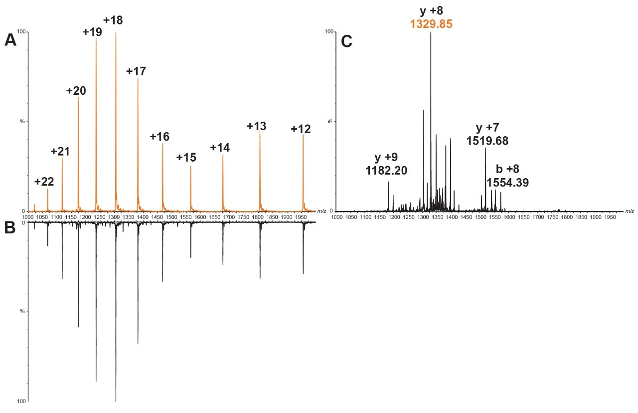 Triple Quadrupole Mass Spectrometry (Xevo TQXS) for the Quantification