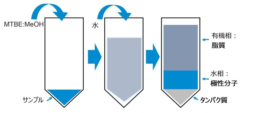 Automated Mtbe Sample Extraction A High Throughput Flexible And Easy To Deploy Workflow Using The Andrew Pipetting Robot Waters