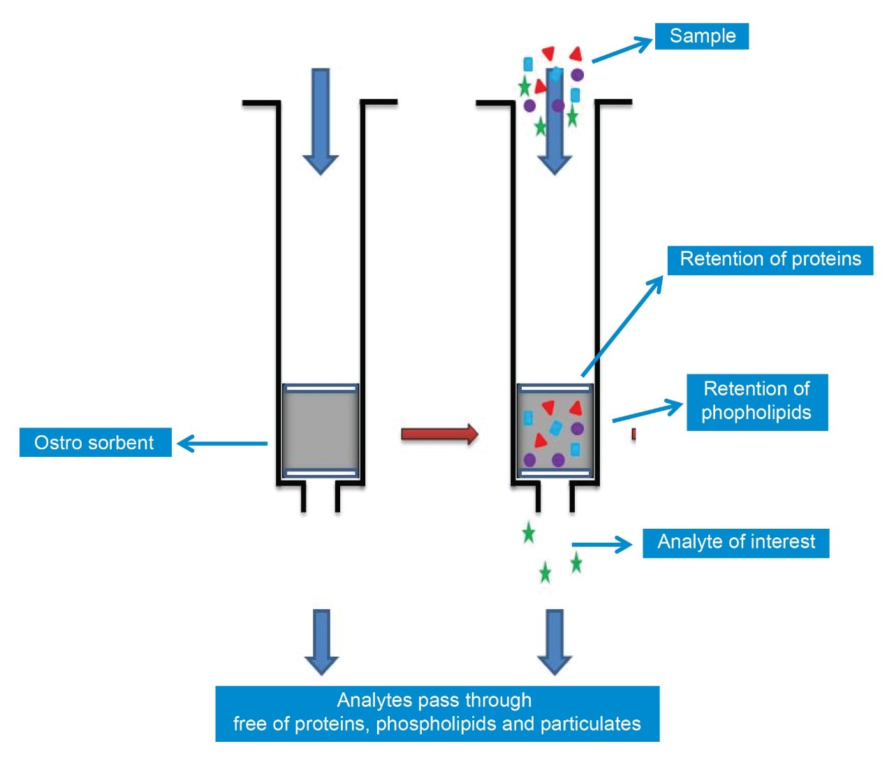 Simple Approach for the Removal of Phospholipids in Small Molecule ...