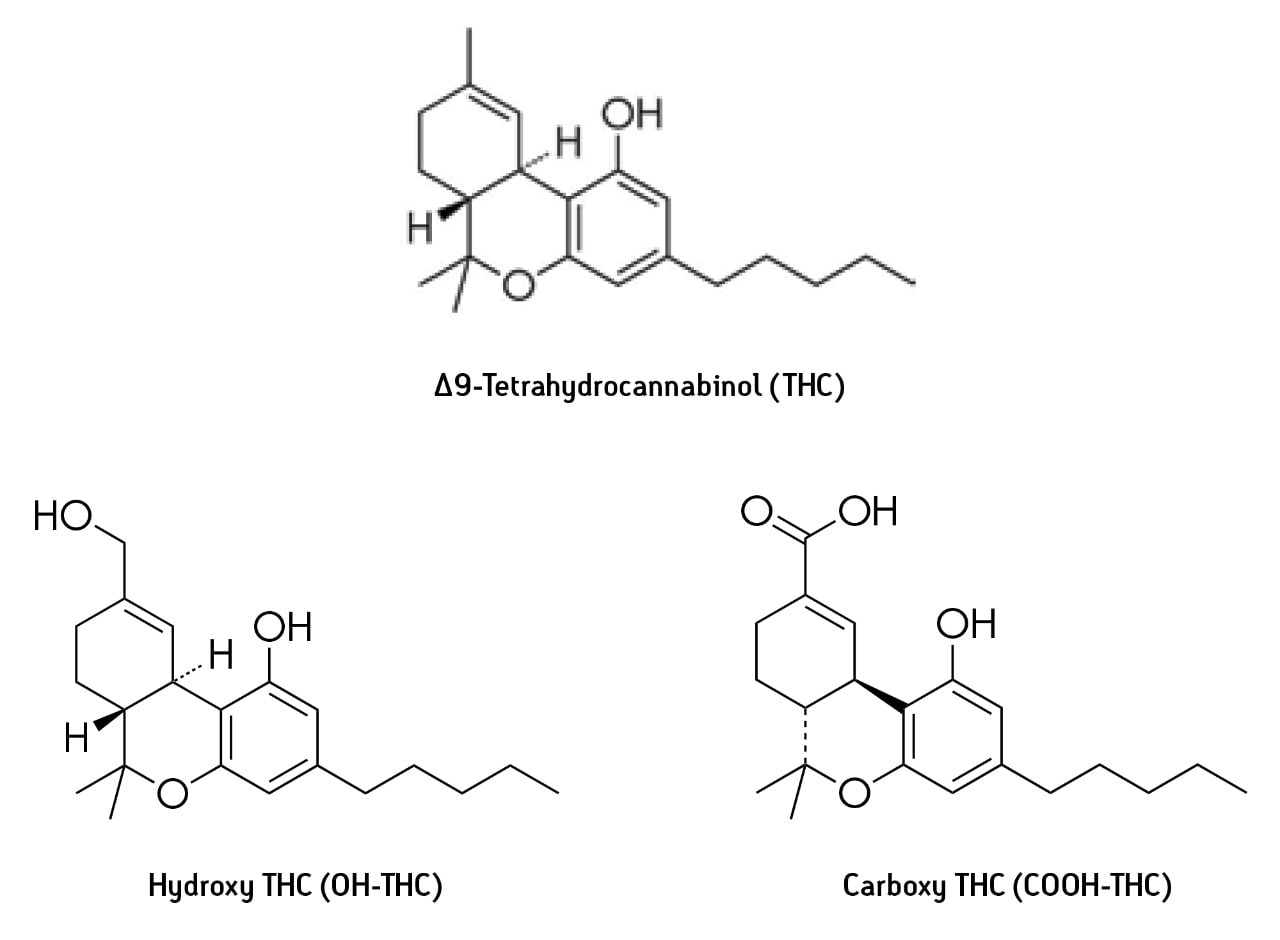 Optimized SPE for UPLC-MS/MS and GC-MS/MS Determination of THC and its ...