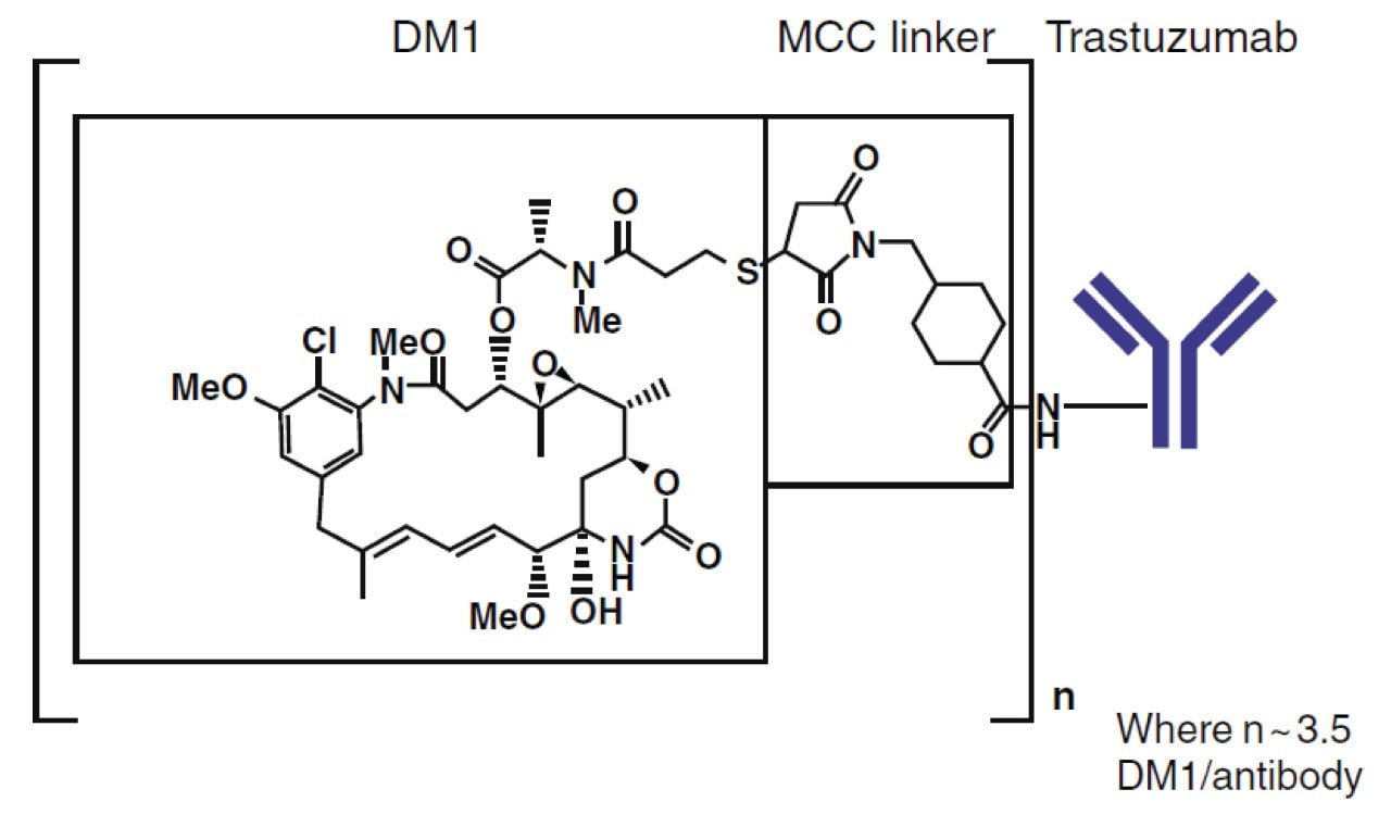 Antibody-Drug Conjugate (ADC) Drug-to-Antibody Ratio (DAR ...