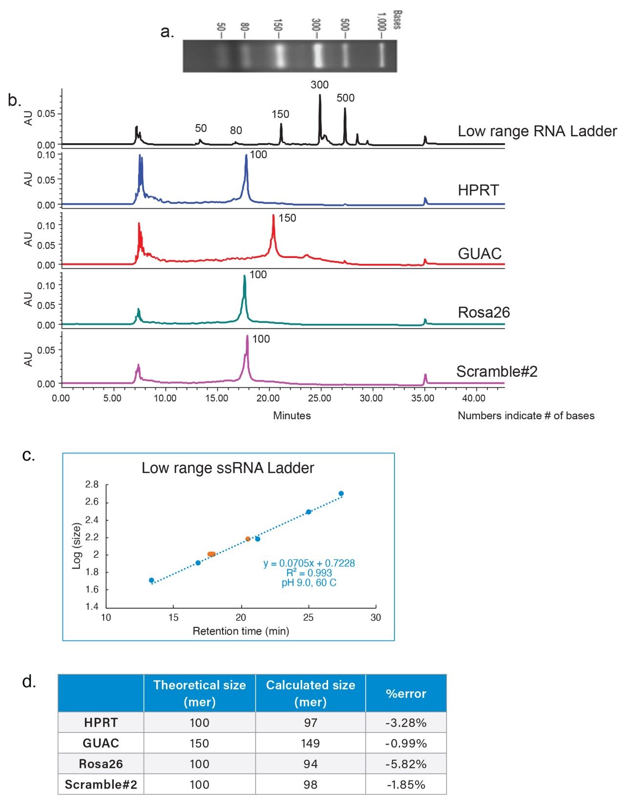 Size and Purity Assessment of SingleGuide RNAs by AnionExchange