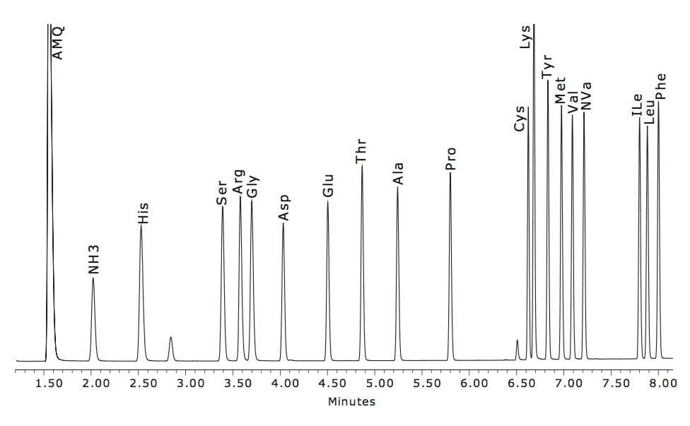 UPLC Amino Acid Analysis Solution Waters