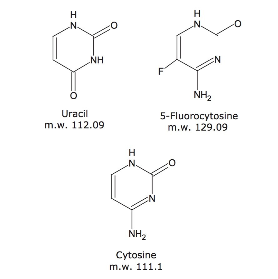 Gradient Chemical Stability Study on XBridge HILIC | Waters