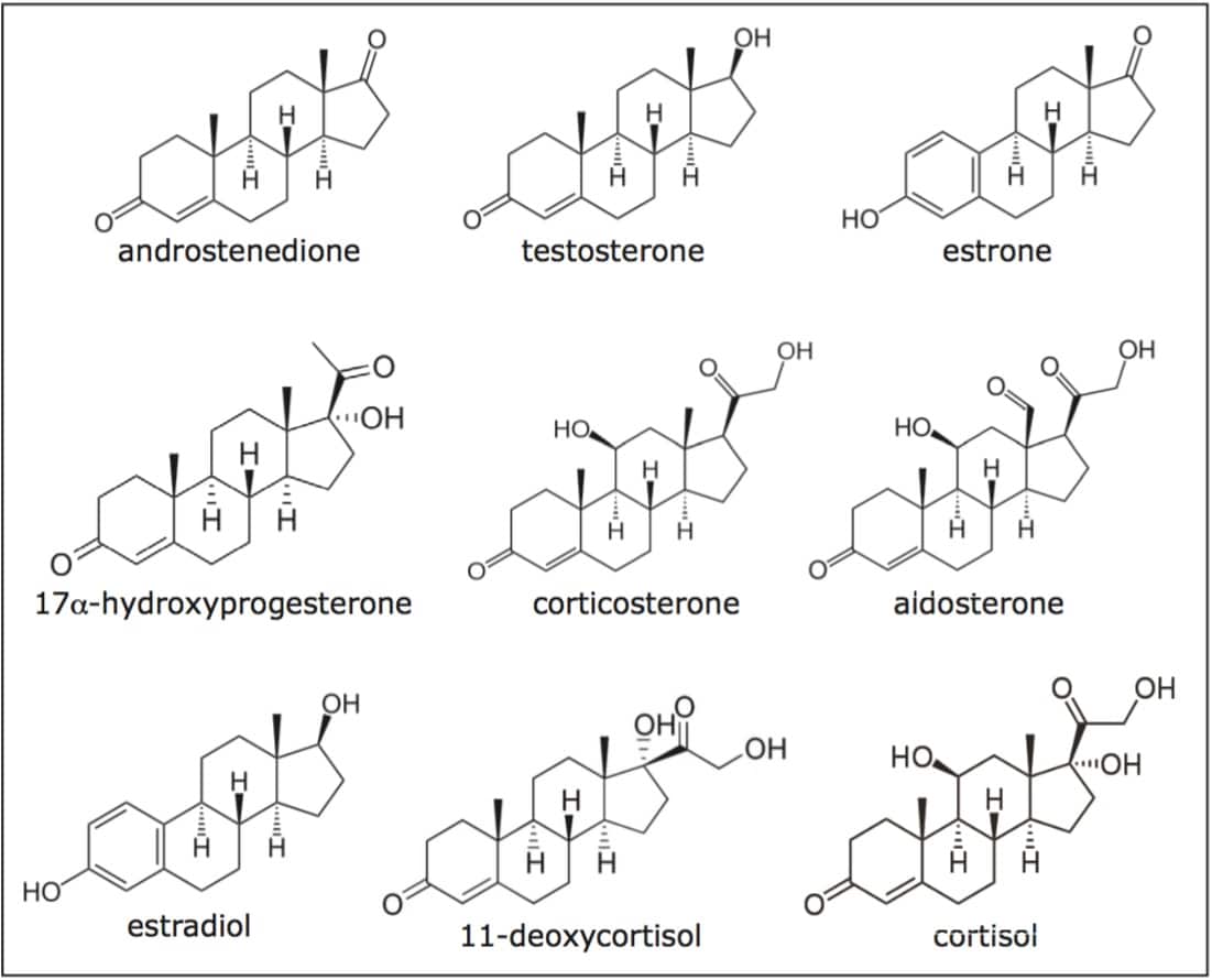 Analysis of Steroids by UltraPerformance Convergence Chromatography