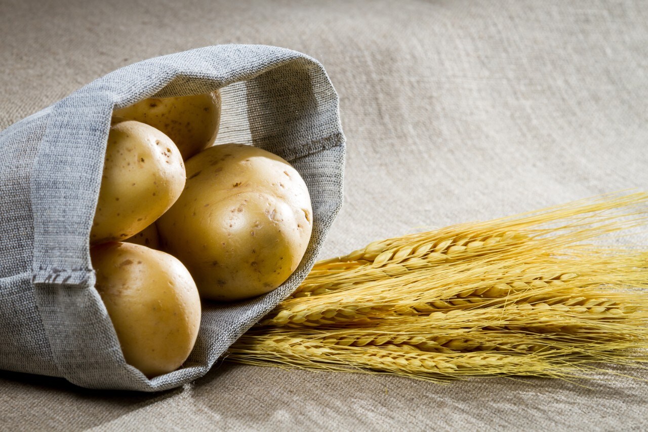 UPLCMS/MS Determination of Paraquat and Diquat in Potato and Wheat