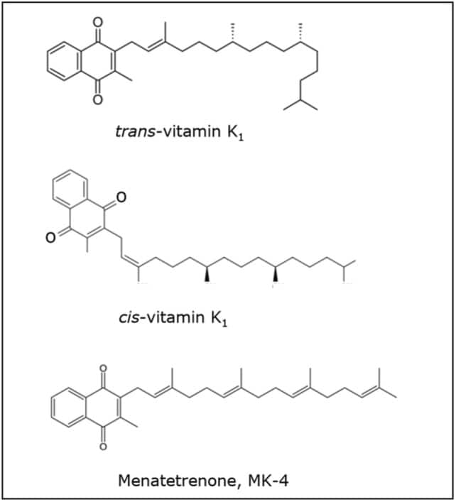 Rapid Separation of Vitamin K1 Isomers and Vitamin K2 in Dietary