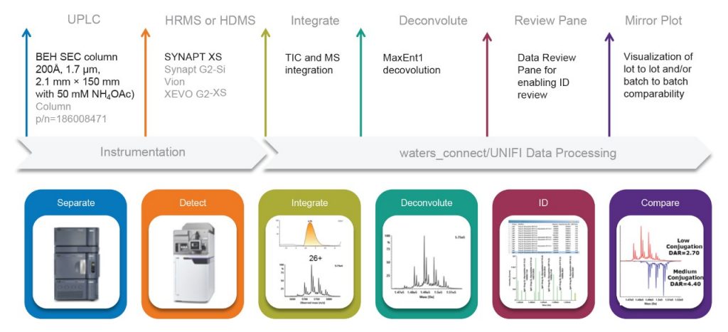 Analysis Of Cysteine Conjugated Antibody Drug Conjugates Adcs Using A Native Sec Lc Ms Workflow On The Synapt Xs Waters