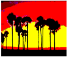 Oasis Bitmap.bmp